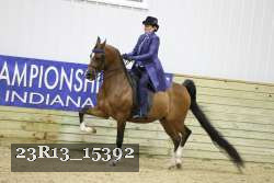 23R13_15392 thumbnail