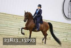 23R13_15393 thumbnail