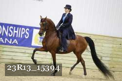 23R13_15394 thumbnail