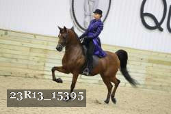 23R13_15395 thumbnail