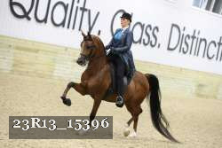 23R13_15396 thumbnail