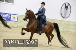 23R13_15397 thumbnail