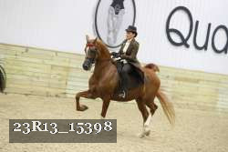 23R13_15398 thumbnail