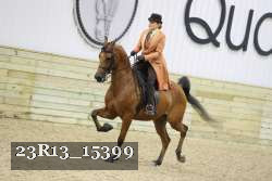 23R13_15399 thumbnail