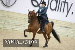 23R13_15400 thumbnail