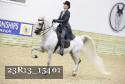 23R13_15401 thumbnail