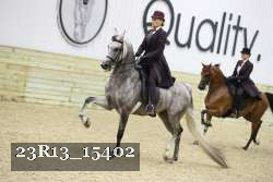 23R13_15402 thumbnail