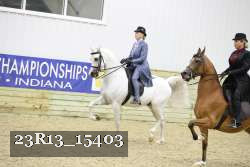 23R13_15403 thumbnail