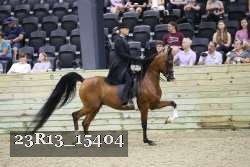 23R13_15404 thumbnail
