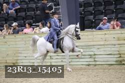 23R13_15405 thumbnail