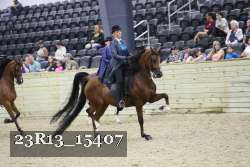 23R13_15407 thumbnail