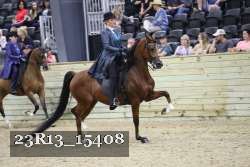 23R13_15408 thumbnail