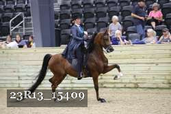 23R13_15409 thumbnail