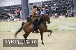 23R13_15410 thumbnail
