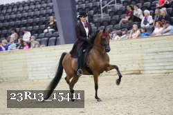 23R13_15411 thumbnail