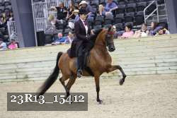 23R13_15412 thumbnail