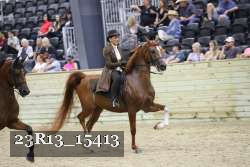 23R13_15413 thumbnail
