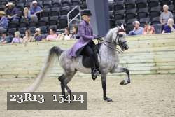 23R13_15414 thumbnail