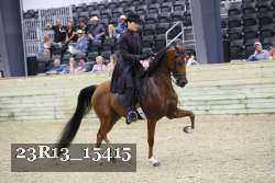 23R13_15415 thumbnail