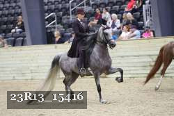 23R13_15416 thumbnail