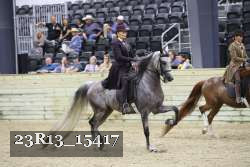 23R13_15417 thumbnail