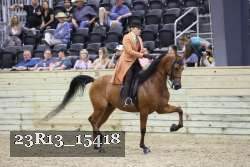 23R13_15418 thumbnail