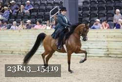 23R13_15419 thumbnail