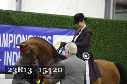 23R13_15420 thumbnail