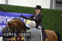 23R13_15421 thumbnail