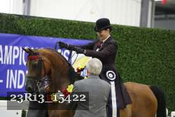 23R13_15422 thumbnail