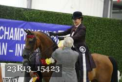 23R13_15423 thumbnail