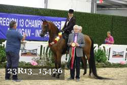 23R13_15426 thumbnail