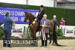 23R13_15427 thumbnail
