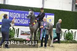 23R13_15431 thumbnail