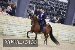 23R13_15433 thumbnail