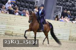 23R13_15434 thumbnail