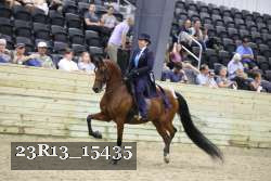 23R13_15435 thumbnail