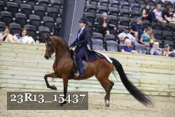 23R13_15437 thumbnail