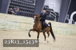 23R13_15438 thumbnail