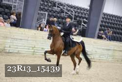 23R13_15439 thumbnail