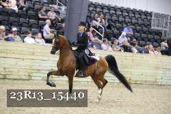 23R13_15440 thumbnail