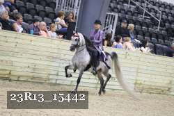 23R13_15442 thumbnail