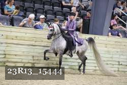 23R13_15444 thumbnail