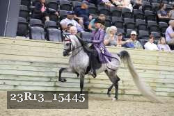 23R13_15445 thumbnail