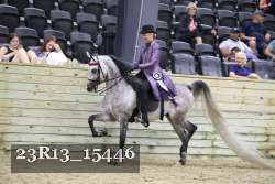 23R13_15446 thumbnail