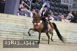 23R13_15447 thumbnail