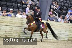 23R13_15448 thumbnail