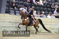 23R13_15449 thumbnail