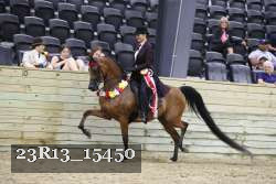 23R13_15450 thumbnail
