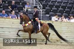 23R13_15451 thumbnail